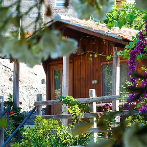 Accommodatie bij particulieren Agora, Kapikiri